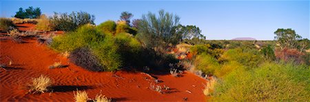 Dune and Ayers Rock Northern Territory, Australia Stock Photo - Rights-Managed, Code: 700-00162538