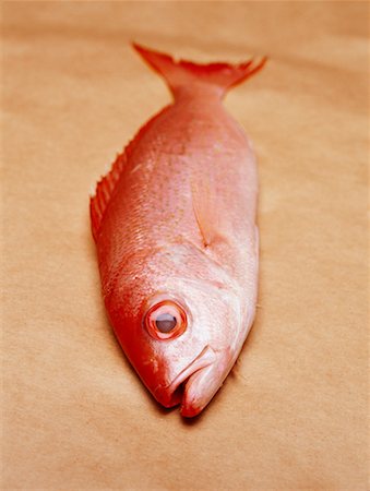 red snapper - Red Snapper Stock Photo - Rights-Managed, Code: 700-00163591