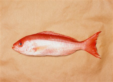 red snapper - Red Snapper Stock Photo - Rights-Managed, Code: 700-00163592