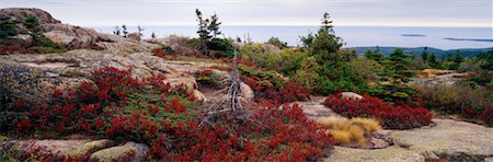 simsearch:700-06465704,k - Cadillac Mountain Acadia National Park Maine, USA Stock Photo - Rights-Managed, Code: 700-00163963