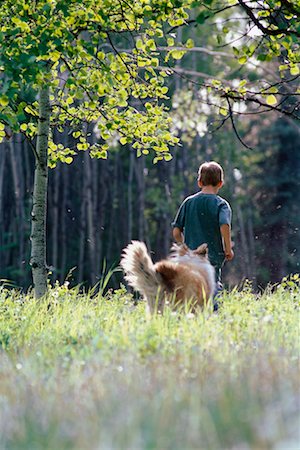 simsearch:700-00166478,k - Boy and His Dog in the Woods Stock Photo - Rights-Managed, Code: 700-00177754