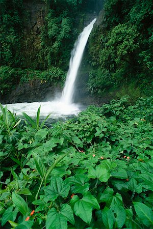 simsearch:700-00023229,k - Waterfall Costa Rica Foto de stock - Con derechos protegidos, Código: 700-00184277