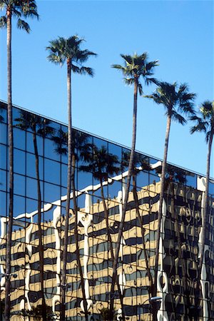 simsearch:700-03644867,k - Building and Palm Trees Hollywood, California, USA Stock Photo - Rights-Managed, Code: 700-00185437