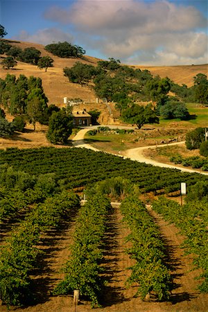 Bethany Wines, Barossa Valley South Australia Stock Photo - Rights-Managed, Code: 700-00187168