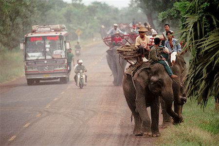 simsearch:700-02693512,k - Annual Elephant Round-Up Surin, Thailand Stock Photo - Rights-Managed, Code: 700-00187379