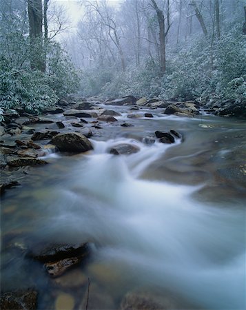 simsearch:700-00073991,k - River in Forest Smoky Mountains National Park Tennessee, USA Stock Photo - Rights-Managed, Code: 700-00187487