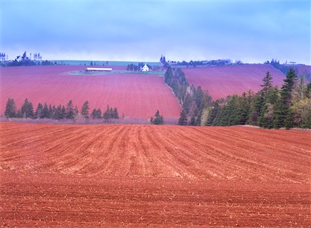 simsearch:700-06059677,k - Farmer's Fields Pleasant Valley Prince Edward Island Canada Stock Photo - Rights-Managed, Code: 700-00188621