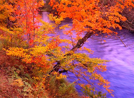 simsearch:600-00062624,k - Margaree River in Autumn Nova Scotia Canada Stock Photo - Rights-Managed, Code: 700-00188794