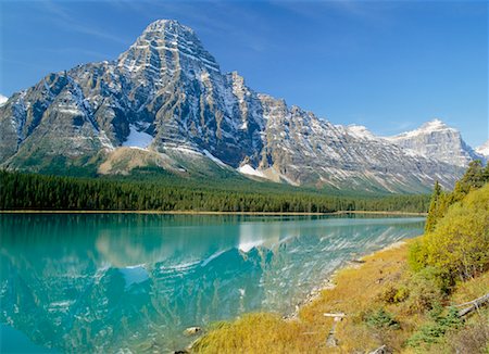 simsearch:600-06125581,k - Mount Chephren, Waterfowl Lake Banff National Park Alberta, Canada Stock Photo - Rights-Managed, Code: 700-00188844