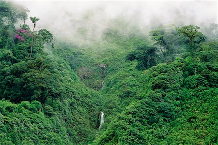 simsearch:700-00023229,k - Overview of Forest Andes Mountains Napo Province, Ecuador Foto de stock - Con derechos protegidos, Código: 700-00181777