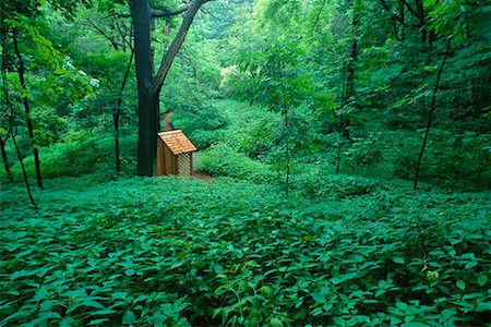 Hut in Forest Royal Botanical Gardens Hamilton, Ontario, Canada Stock Photo - Rights-Managed, Code: 700-00182693