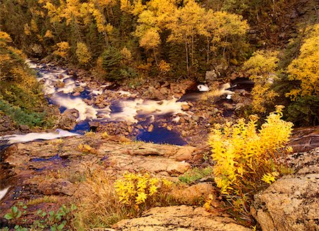 simsearch:700-00182848,k - Creek through Forest Autumn, Gros Morne National Park Newfoundland, Canada Stock Photo - Rights-Managed, Code: 700-00183332