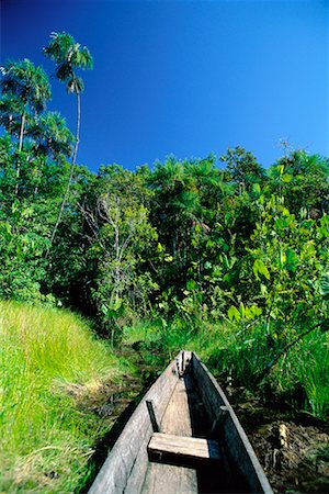 simsearch:700-00023229,k - Dugout Canoe at Shore of Tropical Rainforest Napo Province, Amazon Basin Ecuador Foto de stock - Con derechos protegidos, Código: 700-00183625