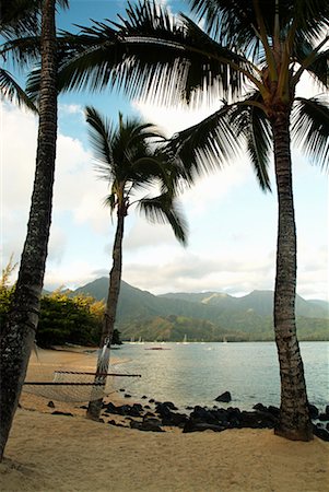 Hamac sur la plage Princeville, Kauai, Hawaii, USA Photographie de stock - Rights-Managed, Code: 700-00196251