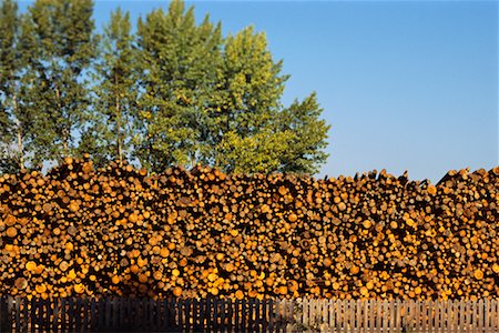 Cut and Stacked Logs Stock Photo - Rights-Managed, Code: 700-00198440