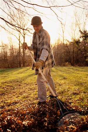 raking leaves autumn - Man Raking Leaves Stock Photo - Rights-Managed, Code: 700-00198906