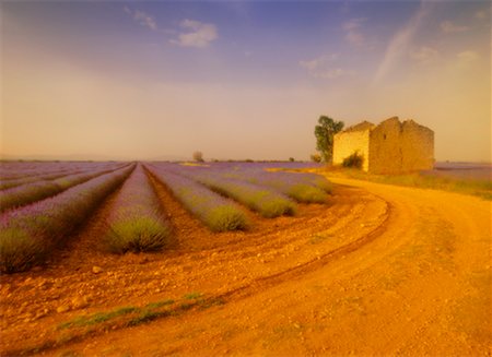 road landscape - Lavender Field Near Valensole Provence, France Stock Photo - Rights-Managed, Code: 700-00199381