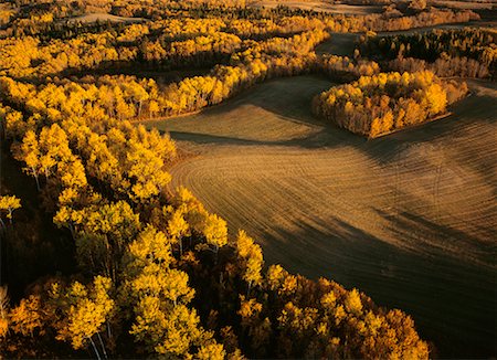 Aerial of Field and Forest Manitoba Canada Stock Photo - Rights-Managed, Code: 700-00267659