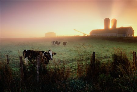 simsearch:700-02670977,k - Sunrise Over Farmland Near Upton Quebec, Canada Stock Photo - Rights-Managed, Code: 700-00269817