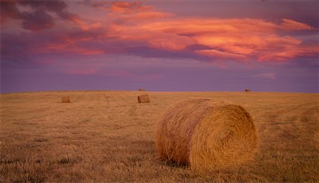 simsearch:700-00016300,k - Hay Bales at Sunset Alberta Canada Stock Photo - Rights-Managed, Code: 700-00269986