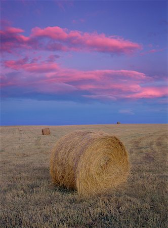 simsearch:700-00016300,k - Hay Bales at Sunset Alberta Canada Stock Photo - Rights-Managed, Code: 700-00269987