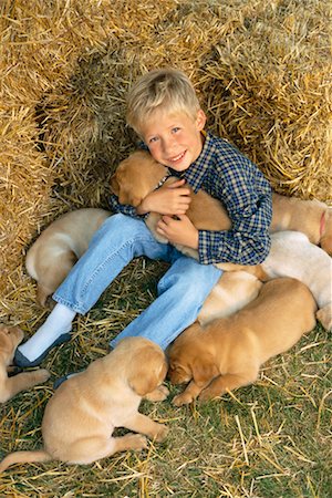 simsearch:700-00071488,k - Boy with Yellow Labrador Retriever Puppies Stock Photo - Rights-Managed, Code: 700-00262834