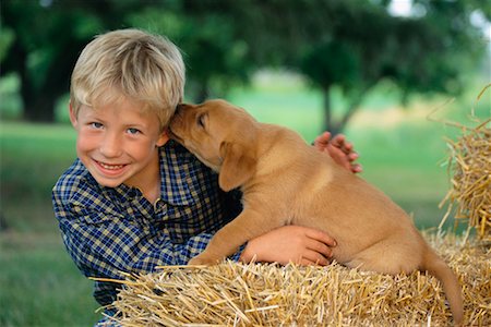 simsearch:700-00071488,k - Boy with Yellow Labrador Puppy Stock Photo - Rights-Managed, Code: 700-00262833