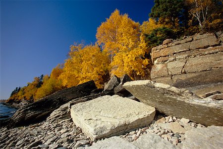 simsearch:700-00013865,k - Fall Leaves on Shoreline of Hecla Island, Hecla/Grindstone Provincial Park, Manitoba Canada Stock Photo - Rights-Managed, Code: 700-00262848