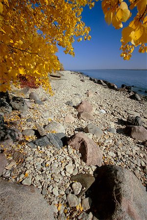 simsearch:700-00013865,k - Fall Leaves on Shoreline of Hecla Island, Hecla/Grindstone Provincial Park, Manitoba Canada Stock Photo - Rights-Managed, Code: 700-00262849