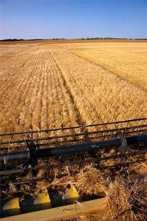 simsearch:700-05973573,k - Combine Harvesting Barley Stock Photo - Rights-Managed, Code: 700-00262858