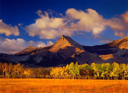 simsearch:700-00016300,k - Autumn Sunrise and Mountain Alberta, Canada Stock Photo - Rights-Managed, Code: 700-00285977