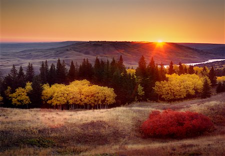 simsearch:700-00016300,k - Autumn Sunrise Cypress Hills Provincial Park Alberta, Canada Stock Photo - Rights-Managed, Code: 700-00285996