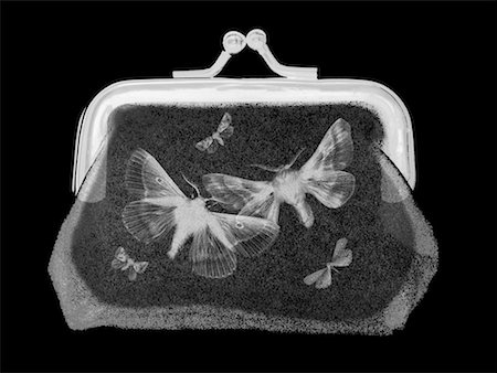 X-Ray of Moths in Wallet Stock Photo - Rights-Managed, Code: 700-00286427