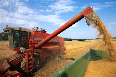 simsearch:700-05973573,k - Farm Machinery Harvesting Stock Photo - Rights-Managed, Code: 700-00318304