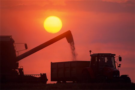 simsearch:600-00013556,k - Silhouettes of Farm Machinery Stock Photo - Rights-Managed, Code: 700-00318301