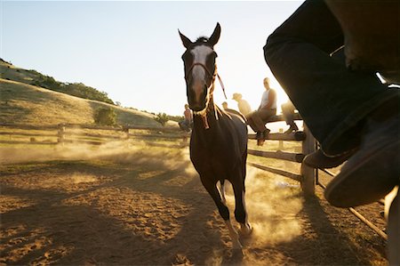 simsearch:700-00161937,k - Horse in Corral Stock Photo - Rights-Managed, Code: 700-00344907