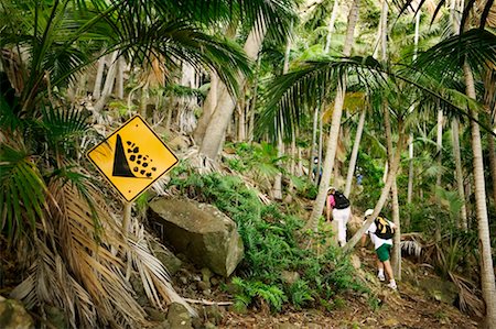 Steep Hill avec signal d'avertissement Photographie de stock - Rights-Managed, Code: 700-00342993