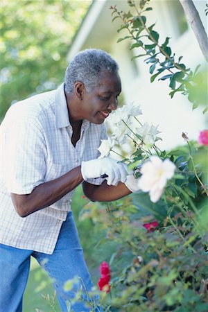 simsearch:700-01633321,k - Woman Gardening Stock Photo - Rights-Managed, Code: 700-00357495