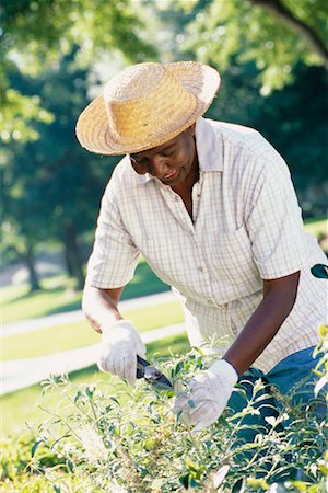 simsearch:700-01633321,k - Woman Gardening Stock Photo - Rights-Managed, Code: 700-00357492
