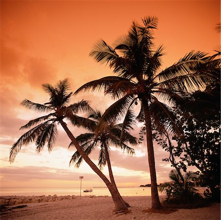 simsearch:700-00157939,k - Sunset at Smathers Beach Key West, Florida, USA Stock Photo - Rights-Managed, Code: 700-00357832