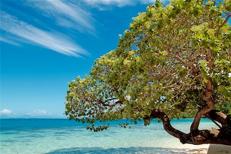 Huahine Lagoon, French Polynesia Stock Photo - Rights-Managed, Code: 700-00365657