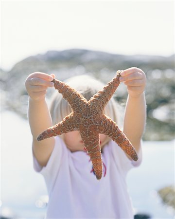 simsearch:700-00477662,k - Child Holding Sea Star Stock Photo - Rights-Managed, Code: 700-00366046
