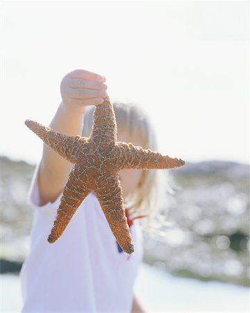 simsearch:700-00477662,k - Child Holding Sea Star Stock Photo - Rights-Managed, Code: 700-00366047