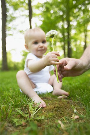 Baby Sitting on Grass Holding Flower Stock Photo - Rights-Managed, Code: 700-00366161