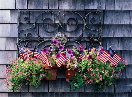 Potted Plant and American Flags Stock Photo - Rights-Managed, Code: 700-00367905