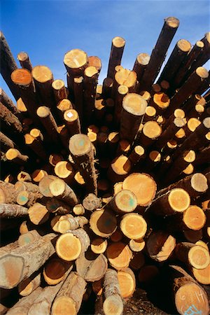 simsearch:700-00361363,k - Pile of Logs Stock Photo - Rights-Managed, Code: 700-00361364