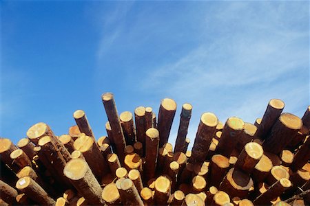 simsearch:600-03178788,k - Pile of Logs Stock Photo - Rights-Managed, Code: 700-00361365