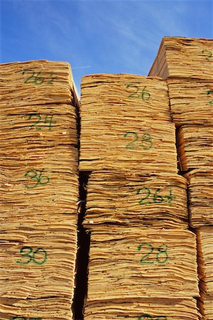 Stack of Plywood Veneer Stock Photo - Rights-Managed, Code: 700-00361368