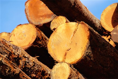 simsearch:700-00361363,k - Pile of Logs Stock Photo - Rights-Managed, Code: 700-00361363