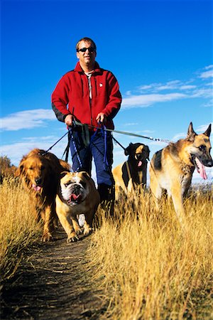 dog walker - Dog Walker Stock Photo - Rights-Managed, Code: 700-00424589